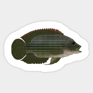 Jack Dempsey Sticker